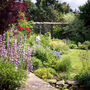 perfect spring and summer garden!