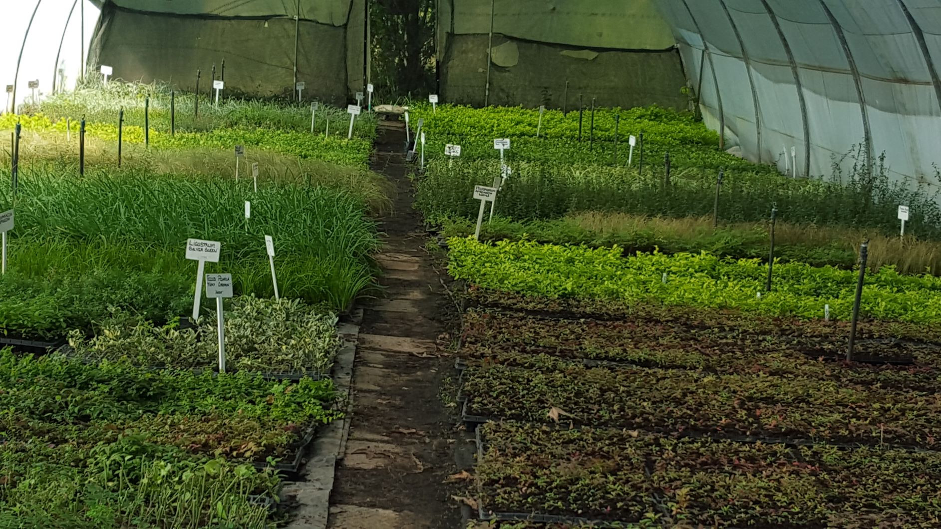 Plant Nurseries