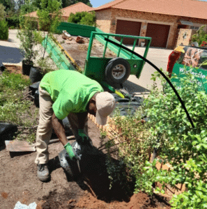 WW Planting resized 1