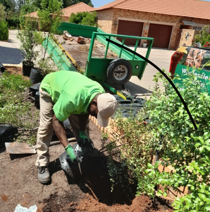 Landscapers