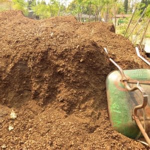 bulk potting soil