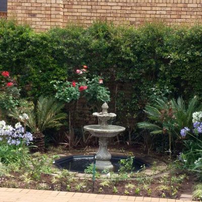 Eco-Friendly Garden Landscaping Ideas Guaranteed to Transform Your Outdoor Space