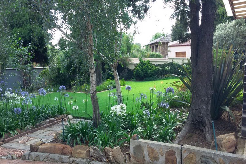 Trees for Sale in Johannesburg