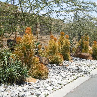 Landscaping | Garden Landscaping for All Seasons