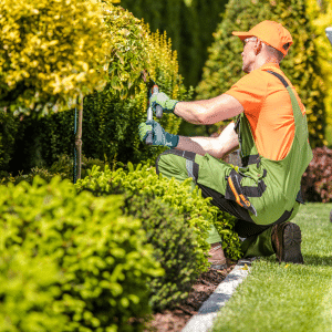 Questions to Ask Before Hiring a Landscaping Artist