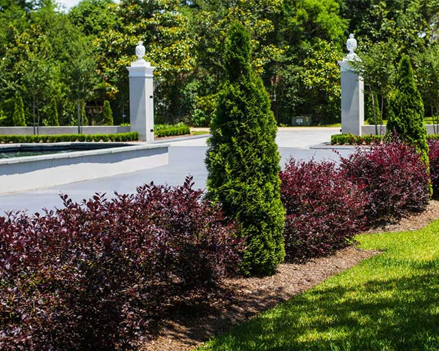 garden landscaping garden landscaping