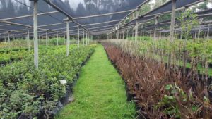 Landscapers in Johannesburg,landscaping services
