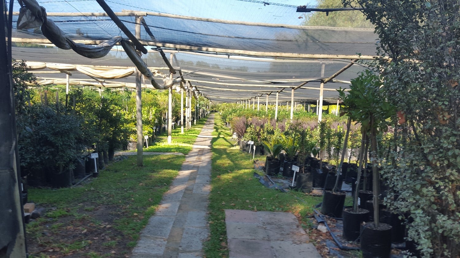 Nursery in Winter