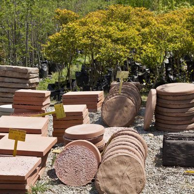 Looking for Professional Landscapers in Johannesburg? Windy Willows Is Here to Help