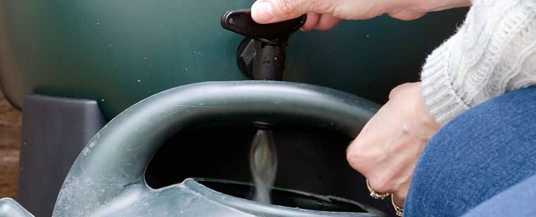 Rainwater Harvesting Techniques
