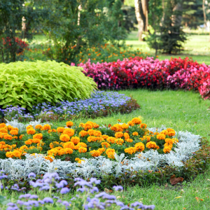 soft landscaping