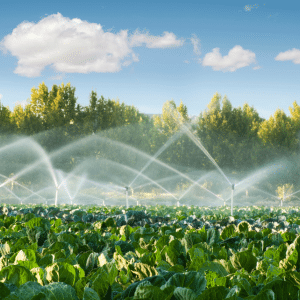 water and storage solutions