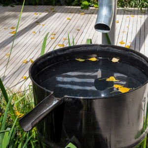 why rainwater harvesting should be a way of life!