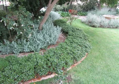 windy willows 07 garden styles