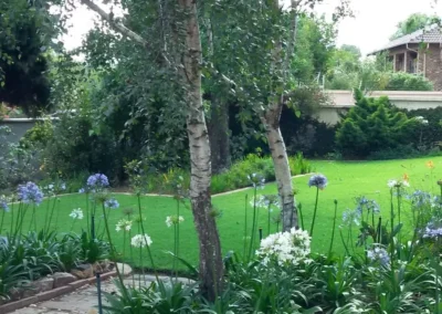windy willows 12 garden styles