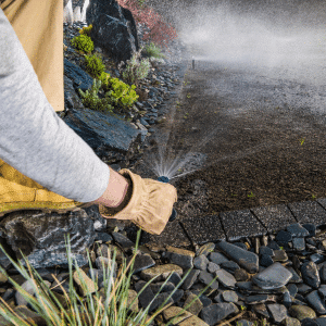 Winter is a great time for Waterwise Landscaping